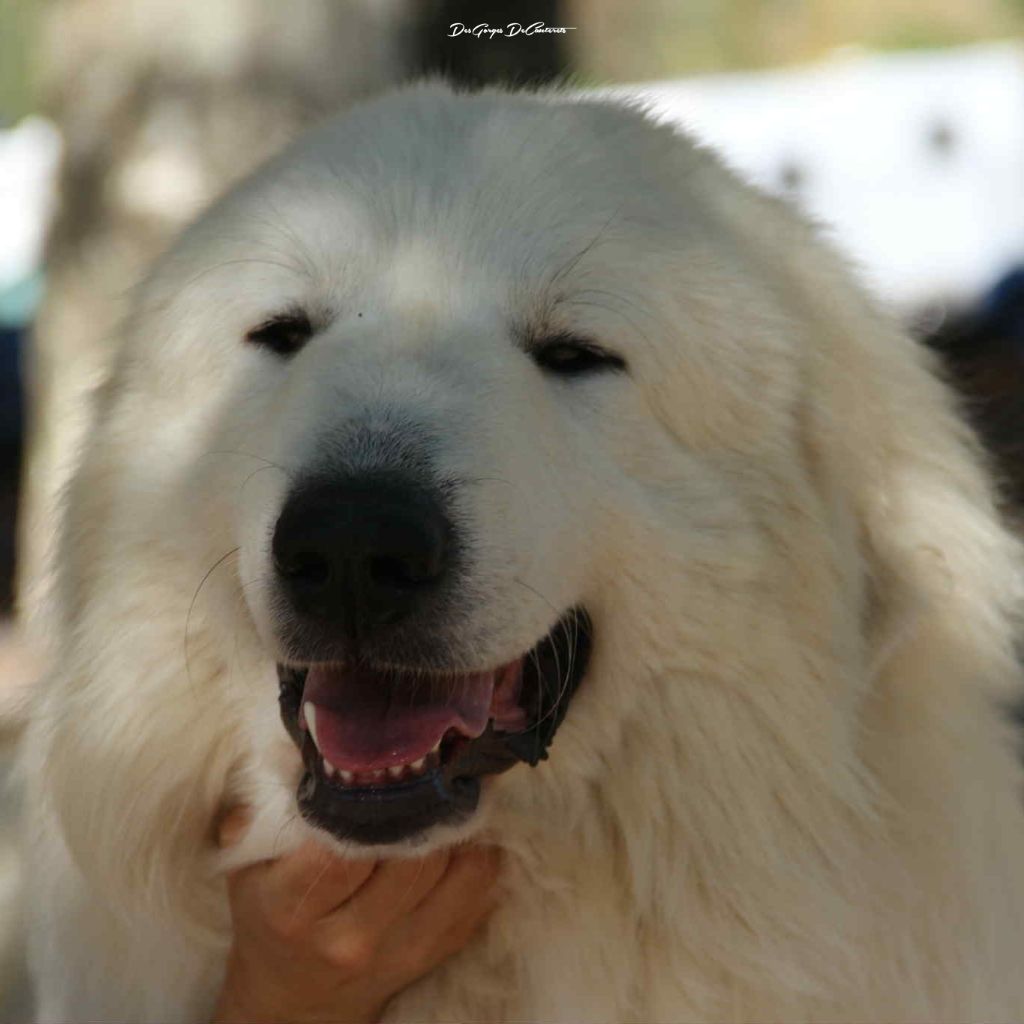 Very bad trip Des Gorges De Cauterets